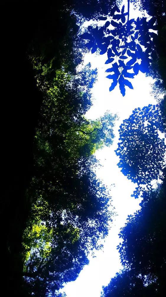 沪江开心词场